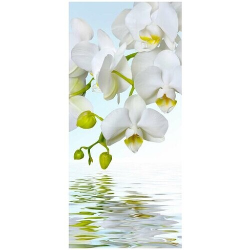Самоклеящиеся фотообои "Орхидеи над водой", размер: 90x200 см ФотоОбои.РФ