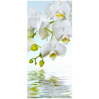 Самоклеящиеся фотообои "Орхидеи над водой", размер: 90x200 см ФотоОбои.РФ