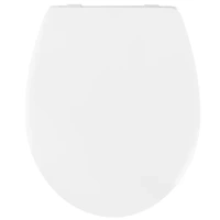 Сиденье для унитаза Sensea Family с микролифтом цвет белый SENSEA