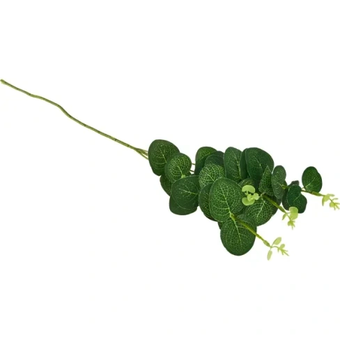 Искусственное растение Эвкалипт ветка h50 см полиэстер зеленый Без бренда None