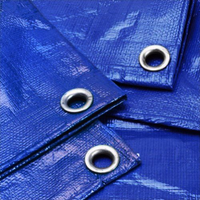 Тенты - (180 г/кв.м) - синий-серебристый